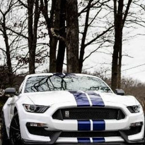 Meet your Posher, Willie